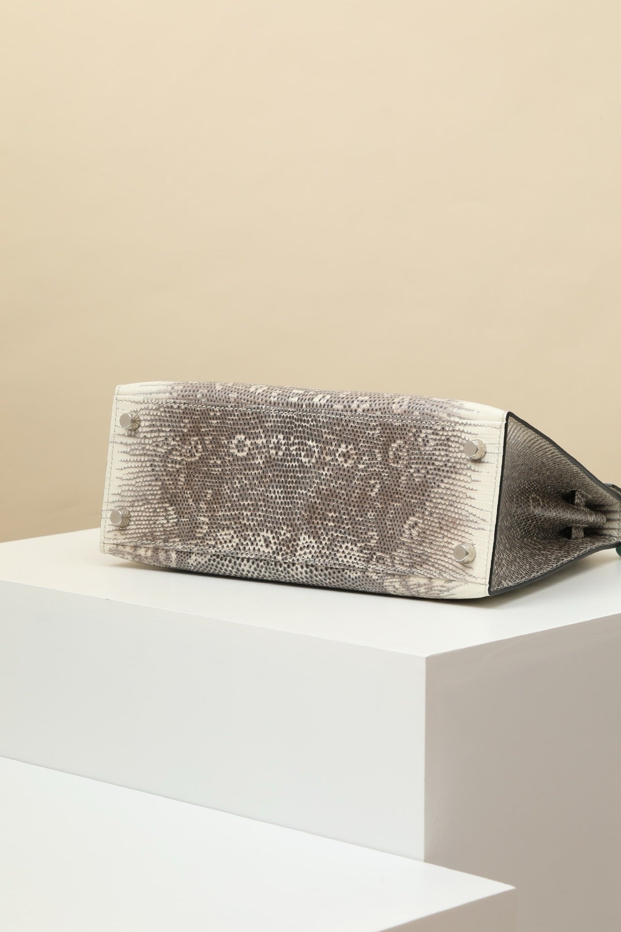 KL25 Natural Lizard #3716