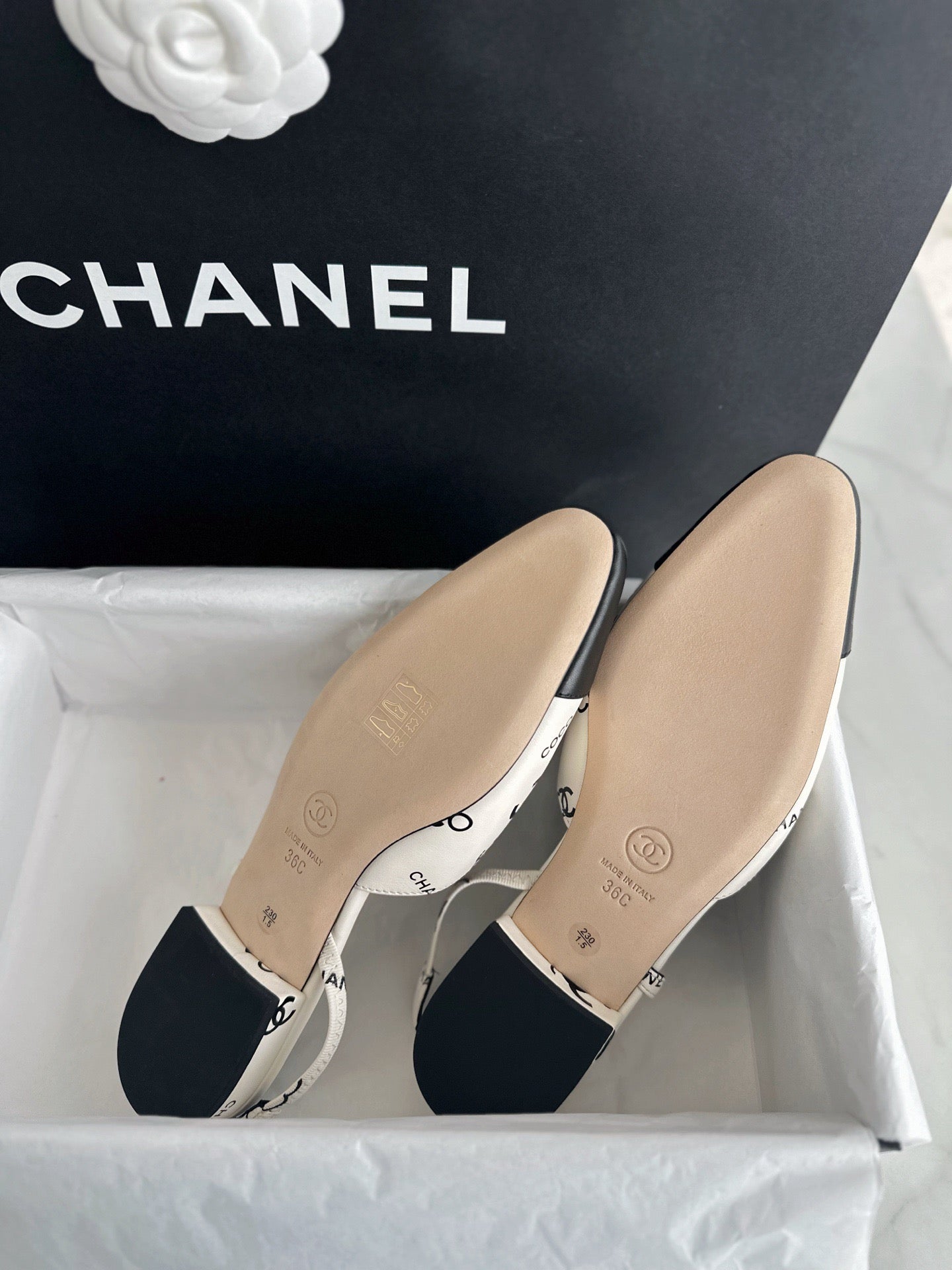 24s slingback #1528