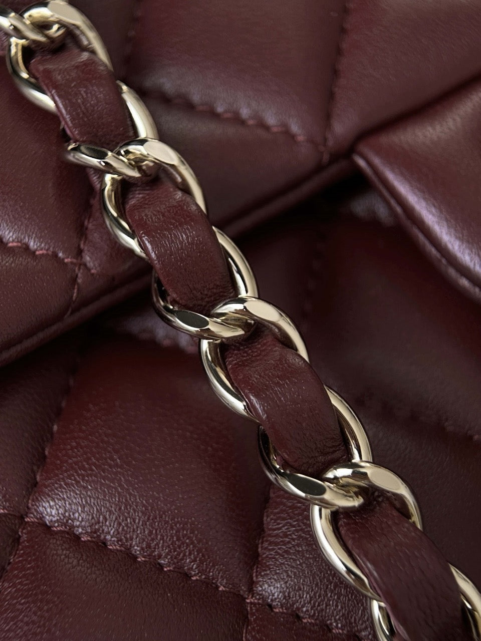 Cf17 Champagne Gold #3916