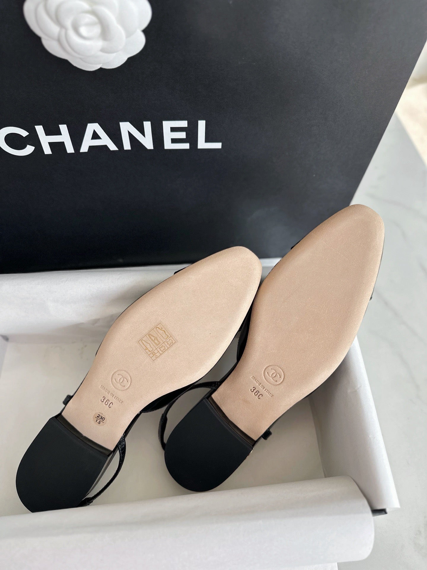 24s slingback #1530