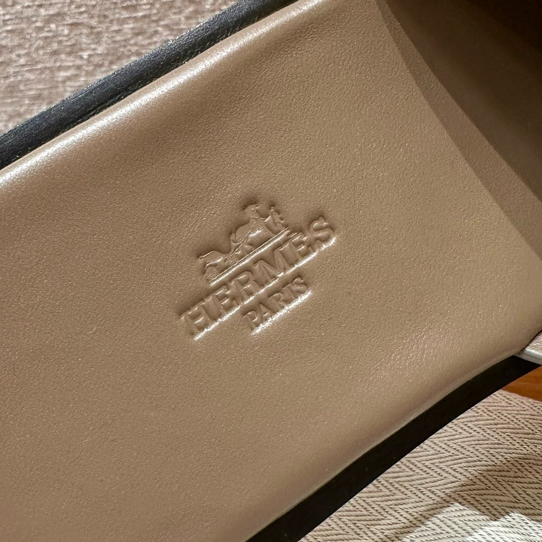 Izmir sandal lizard # 2567