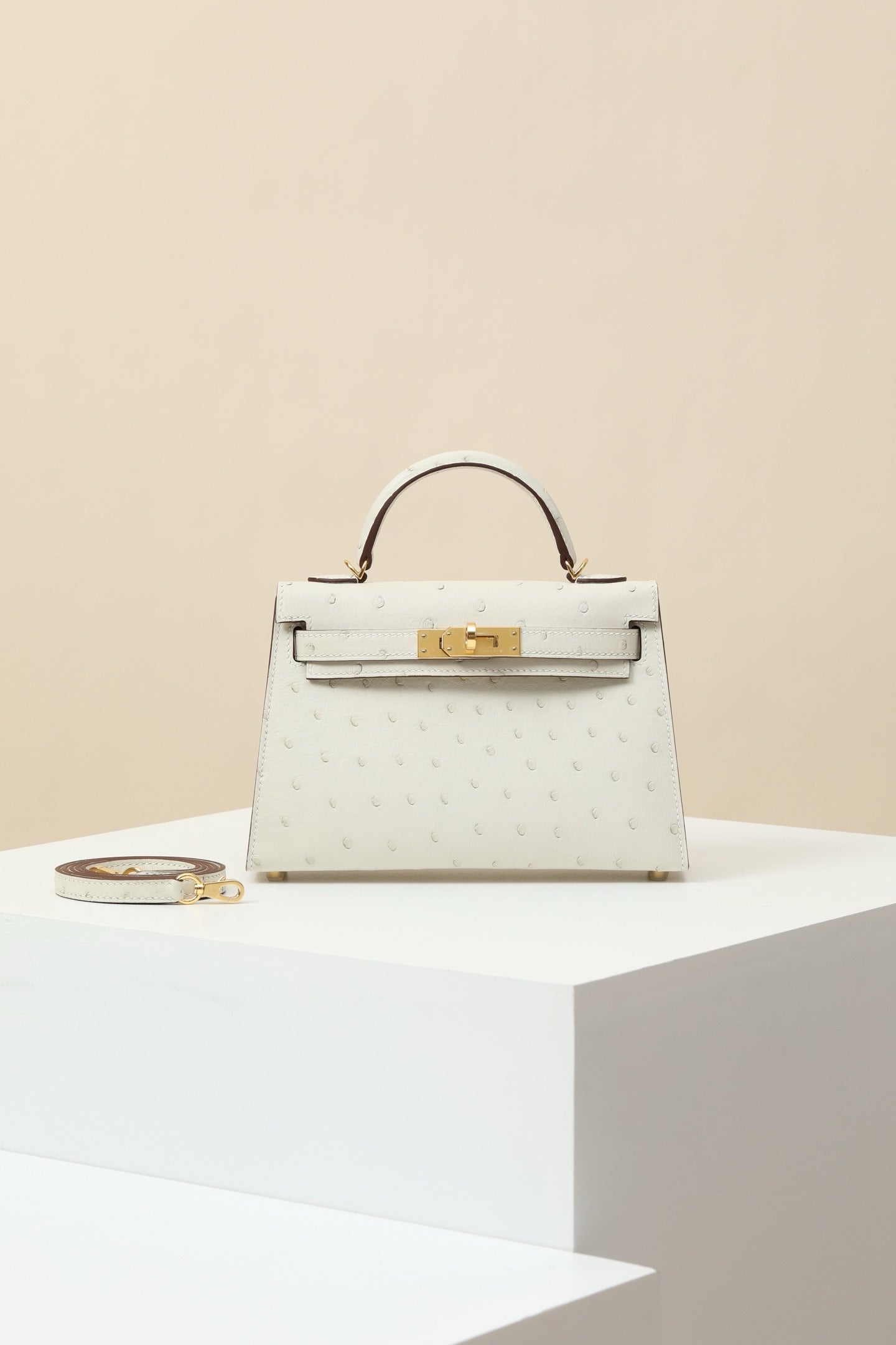 KL19  Wool White #3831