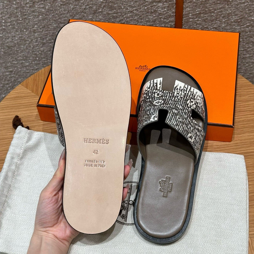 Izmir sandal lizard # 2567