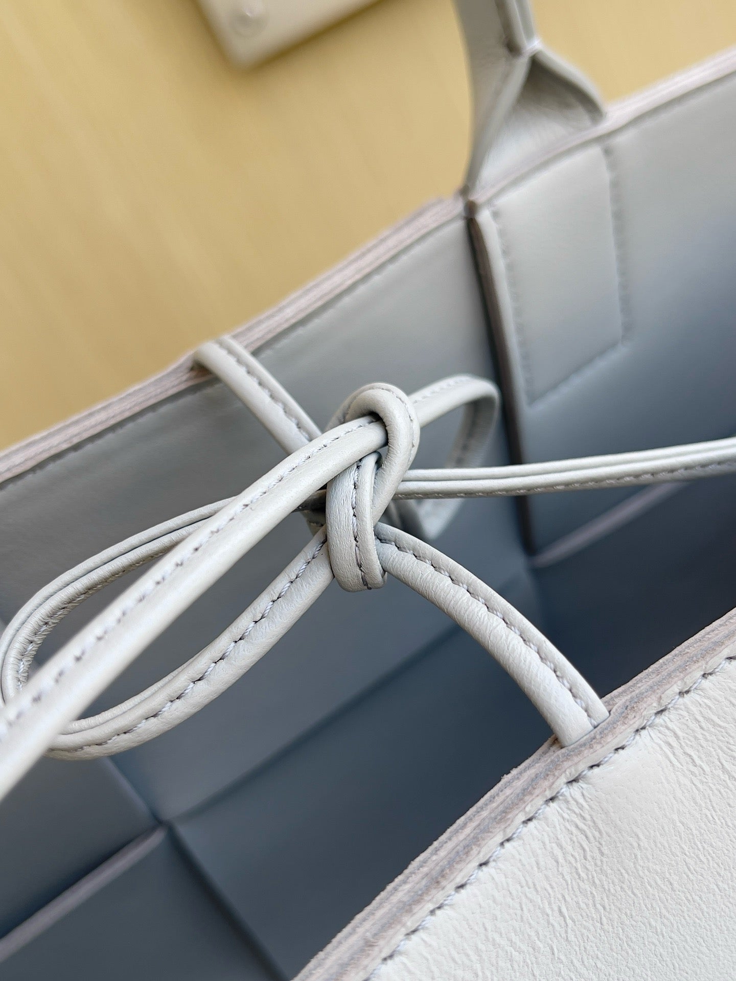BV Mini Tote #2721