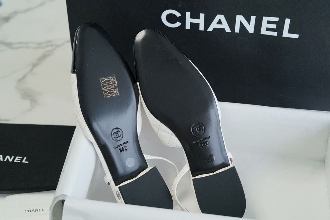 24s slingback #282