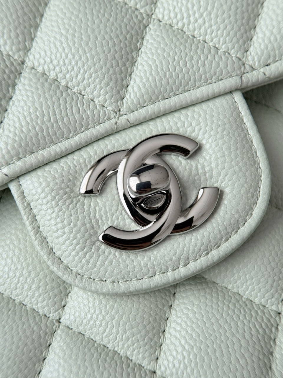 Cf23 Silver Hardware , Caviar # 4225