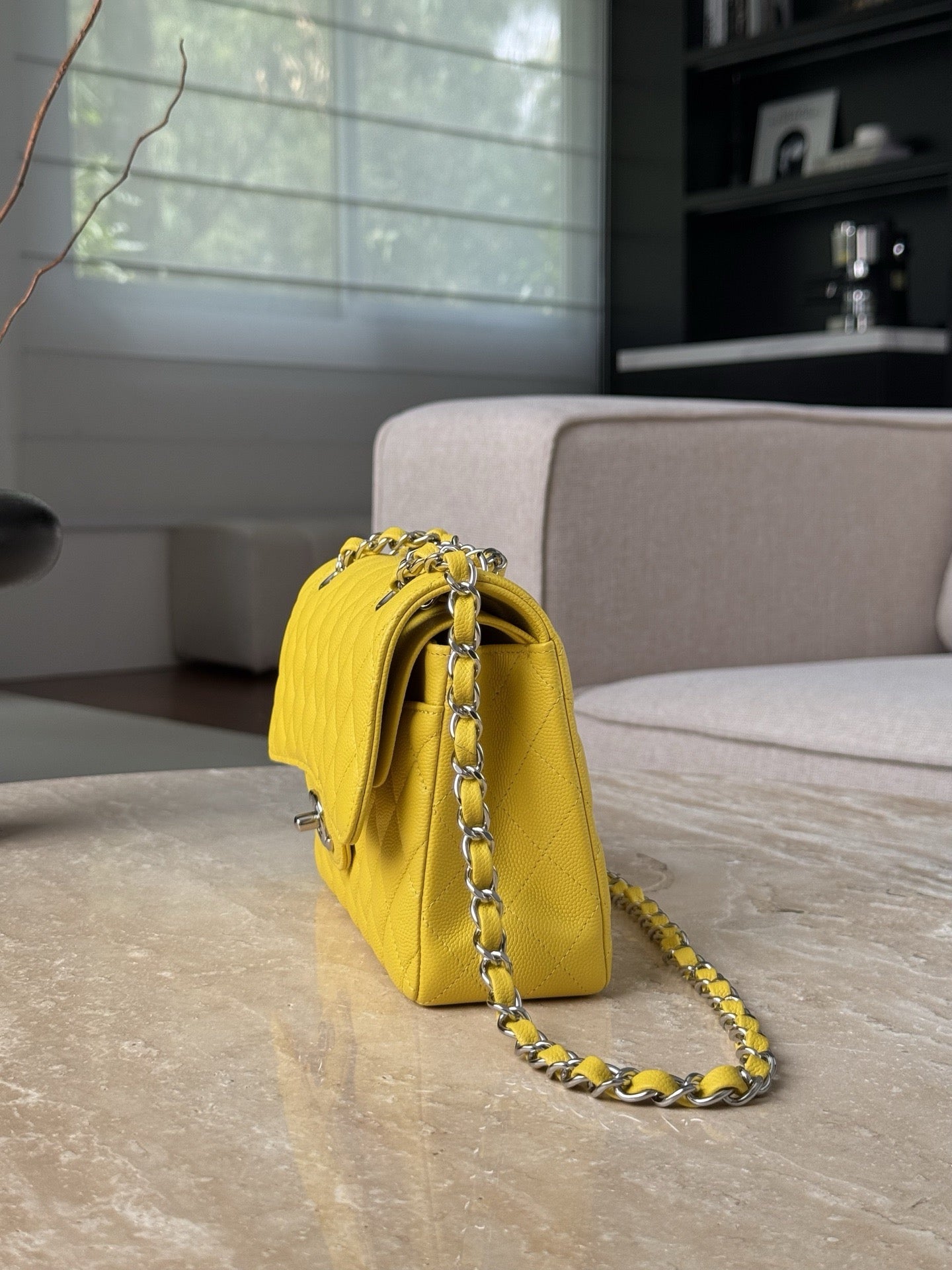 Cf23 Silver Hardware , Caviar # 4227