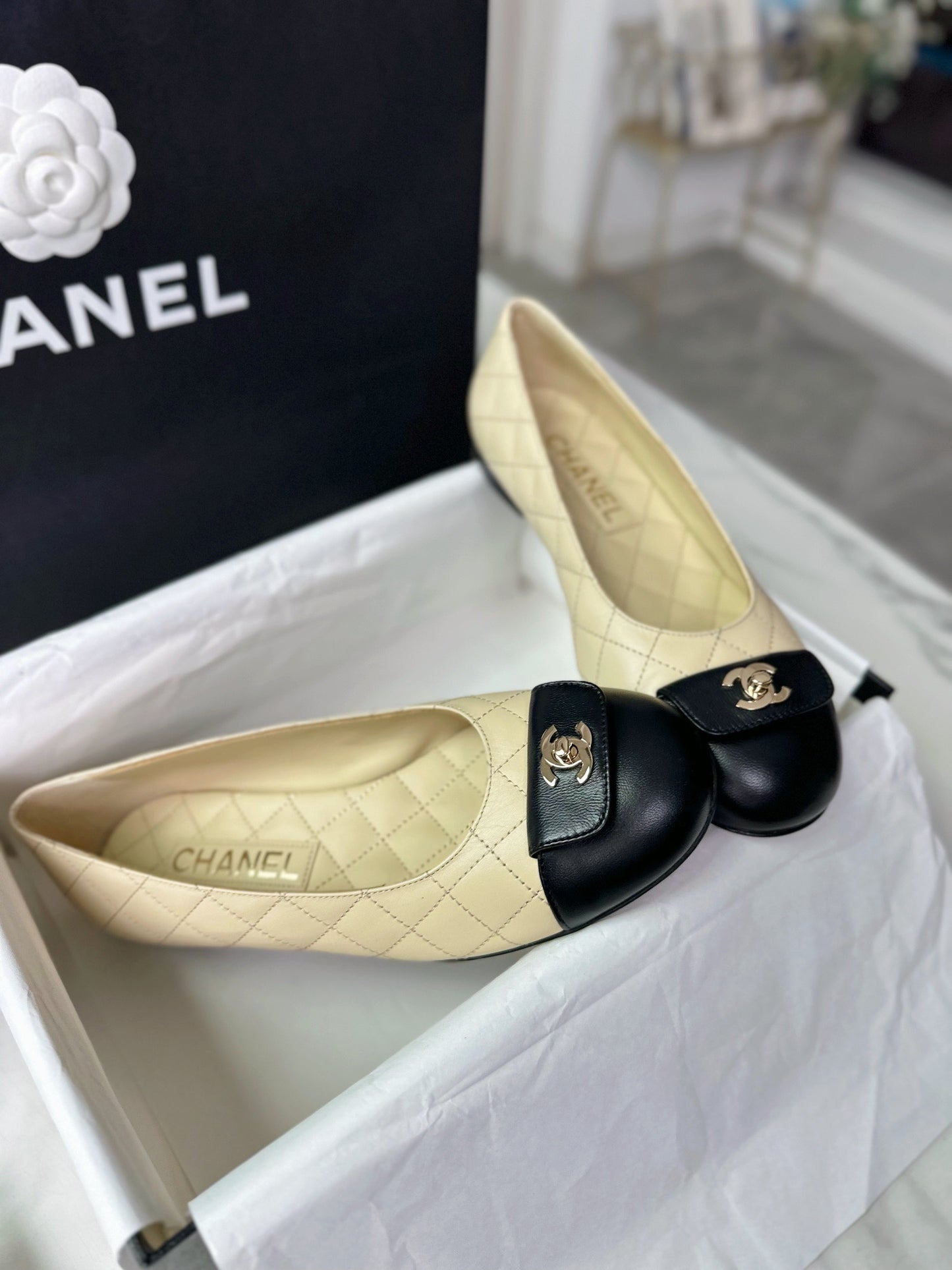 24s ballerina #315