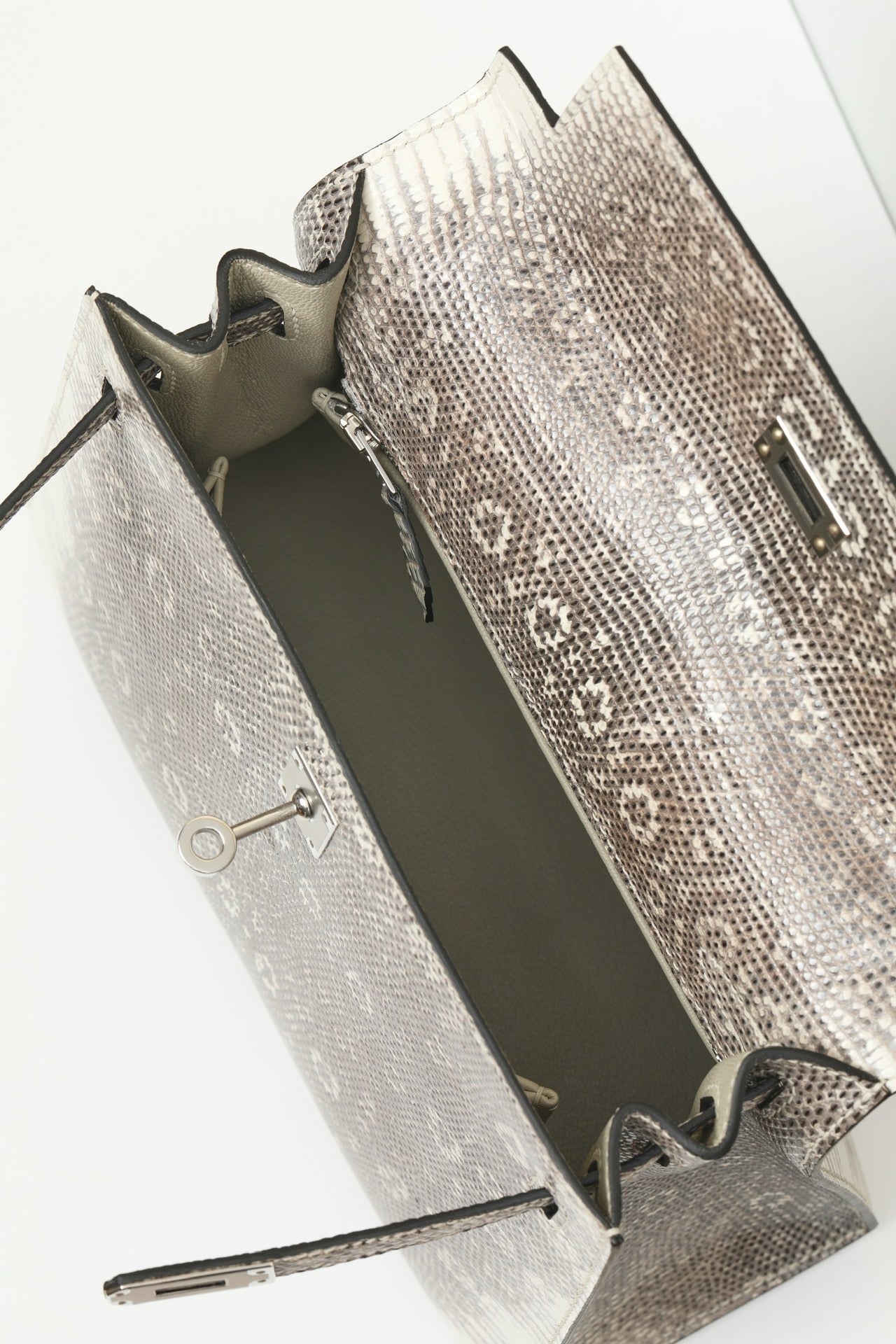 KL25 Natural Lizard #3716