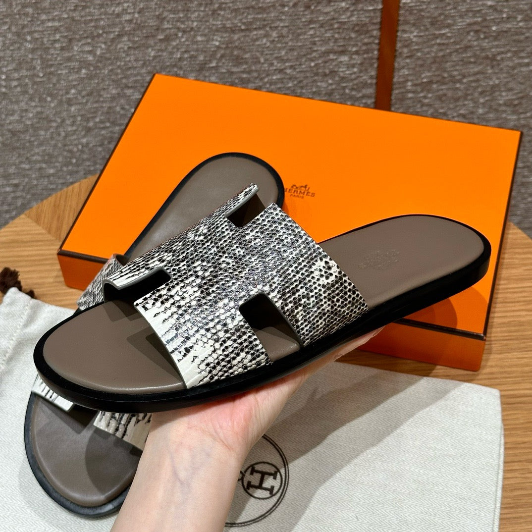 Izmir sandal lizard # 2567