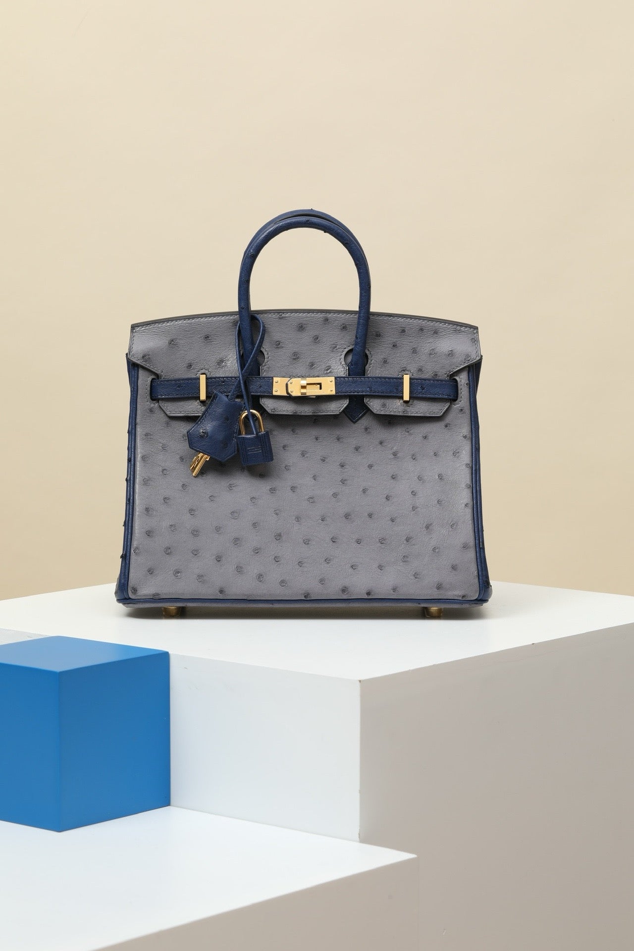 BK25 Onyx Gray/Iris Blue # 3894