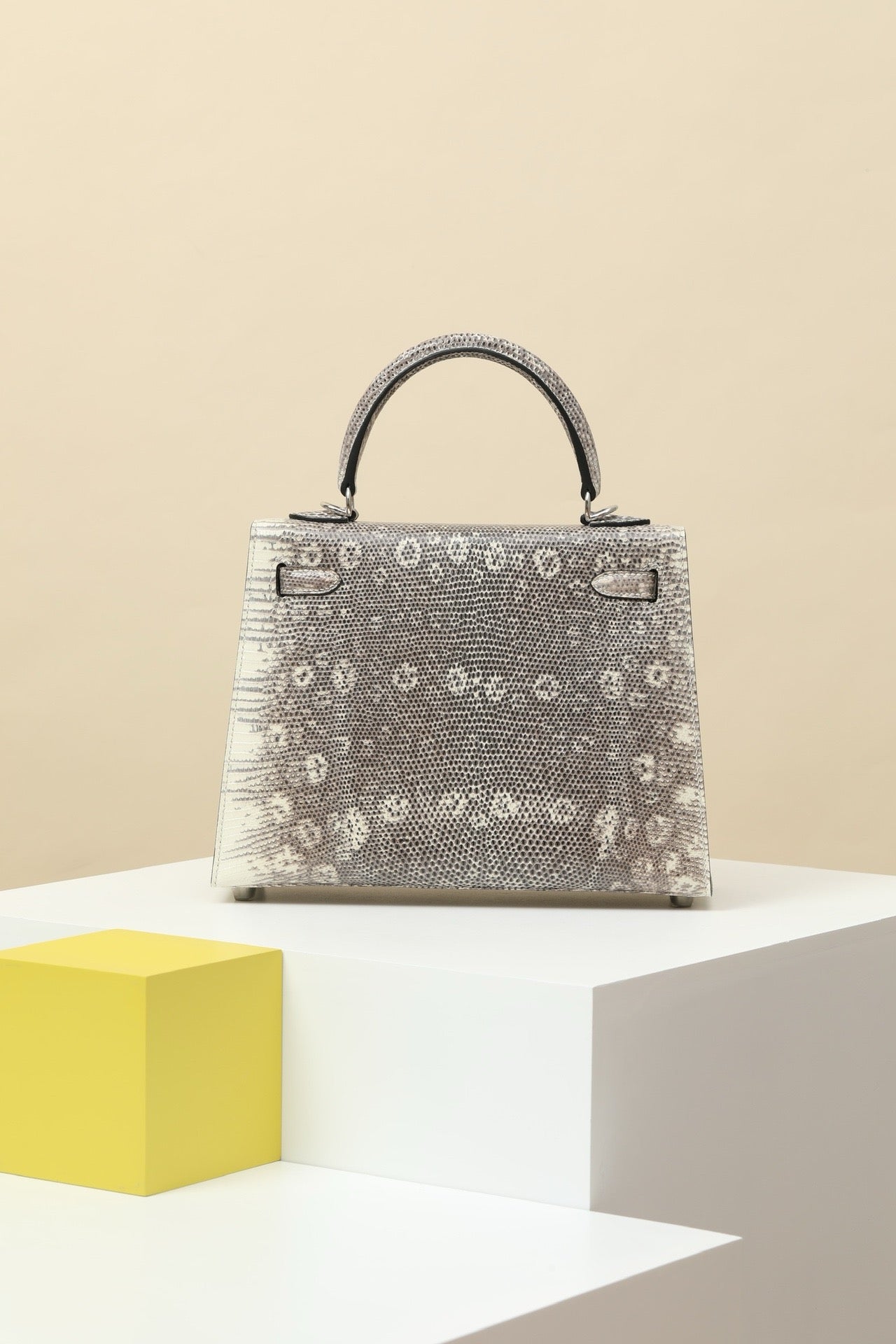 KL25 Natural Lizard #3716