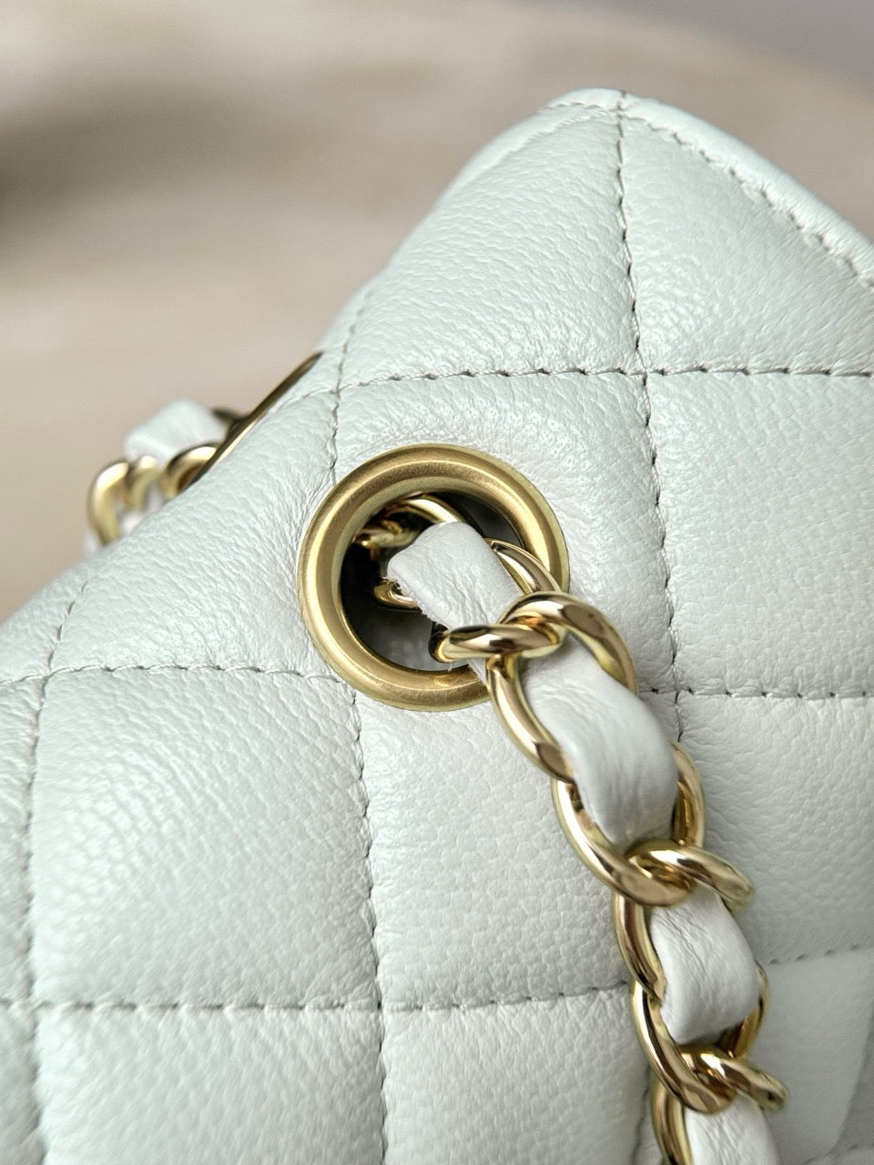 Cf25 Gold Hardware , Caviar # 4219