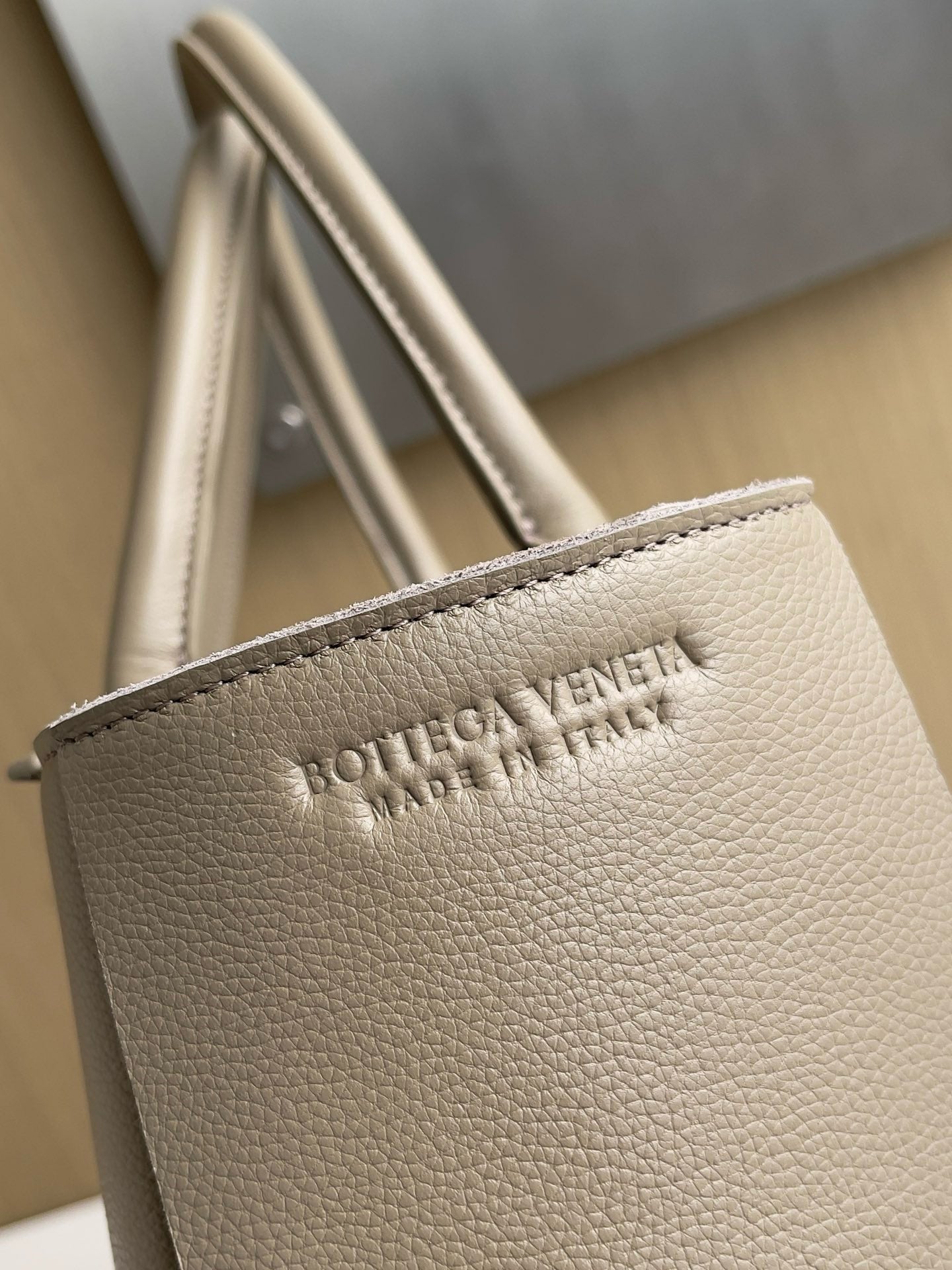 BV Mini Tote #2729