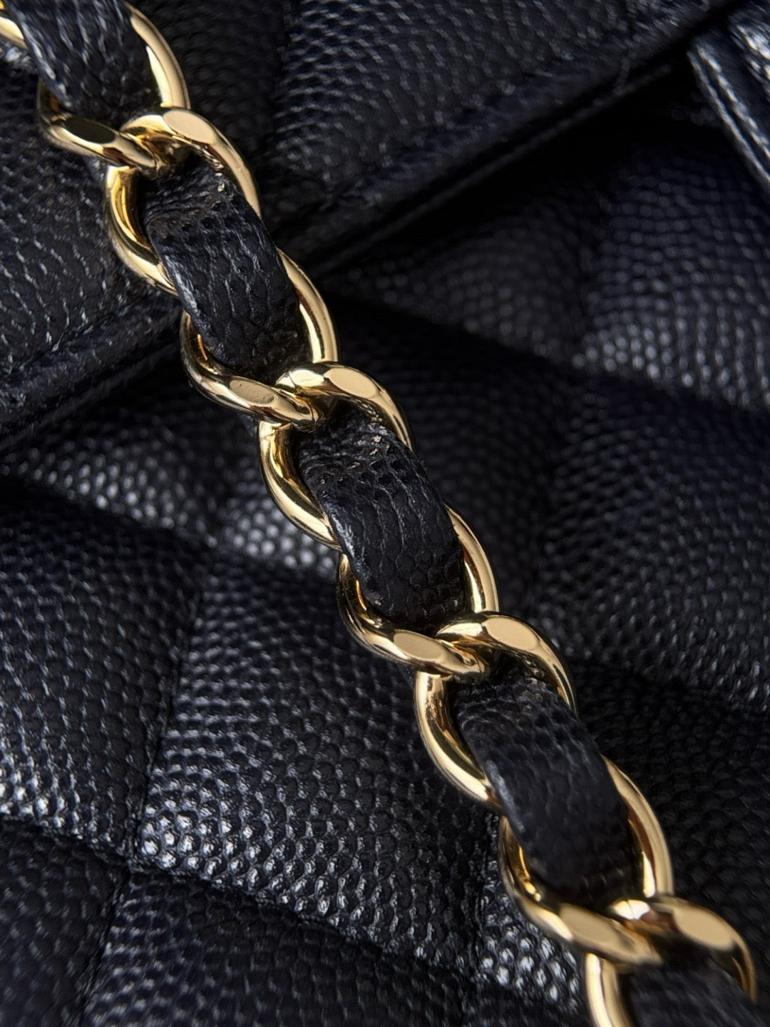 Cf23 Gold Hardware, Caviar # 4231