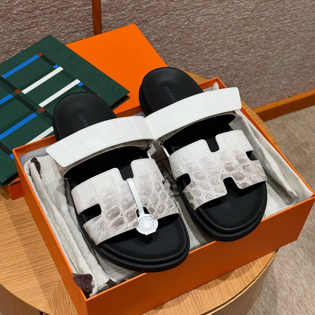 sandal alligator #2577