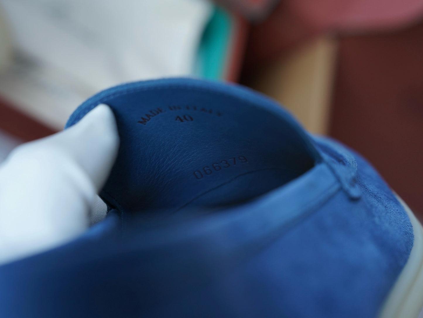 LP Summer walk #2665