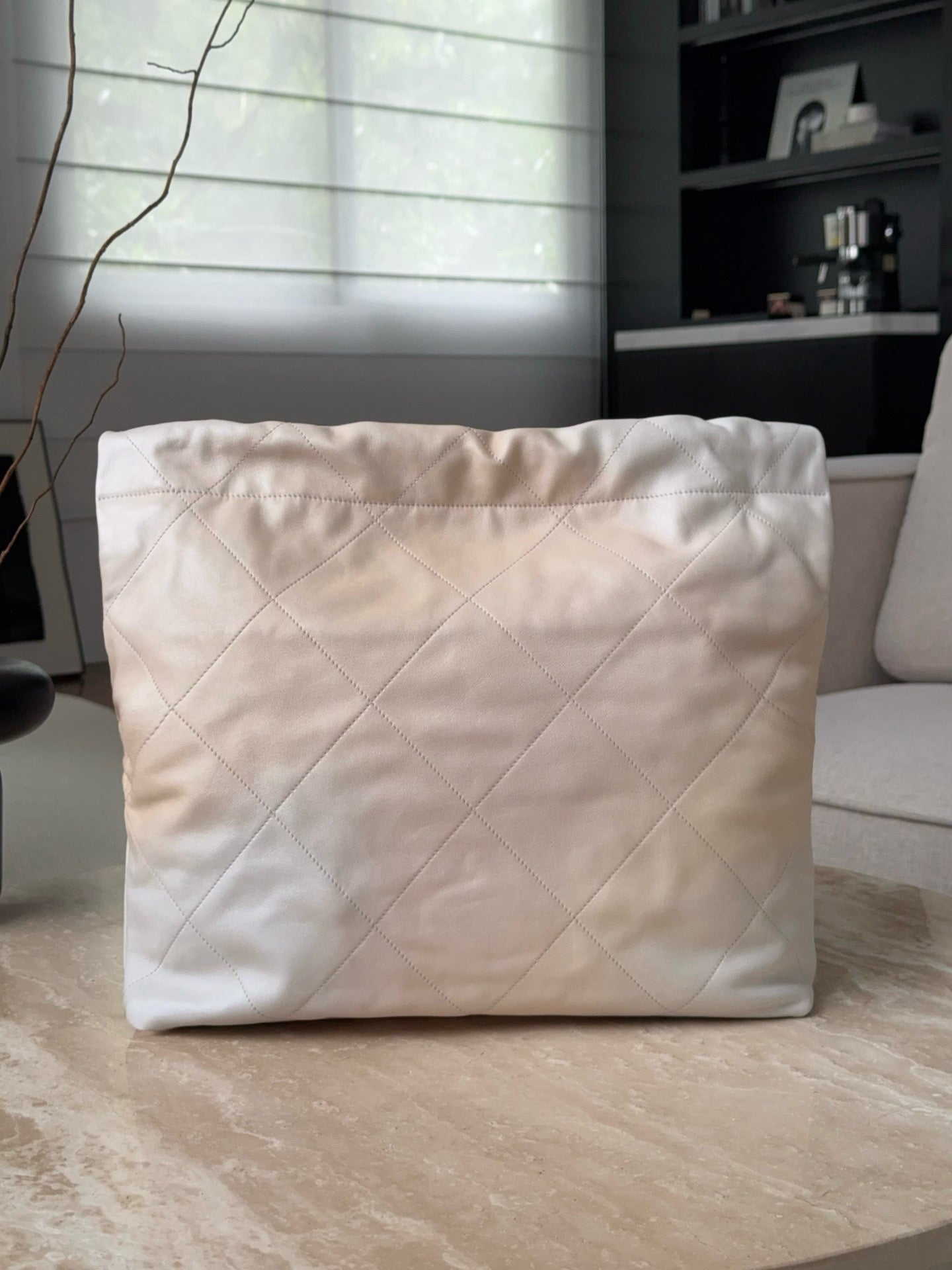 22 Bag # 2817