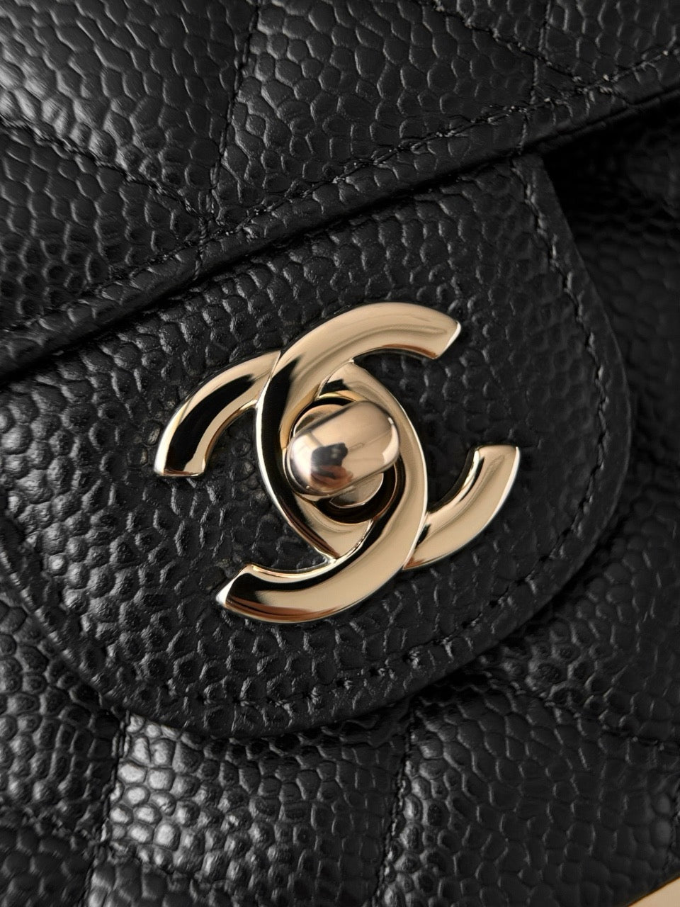 Cf23 Champagne Gold , Caviar # 4233