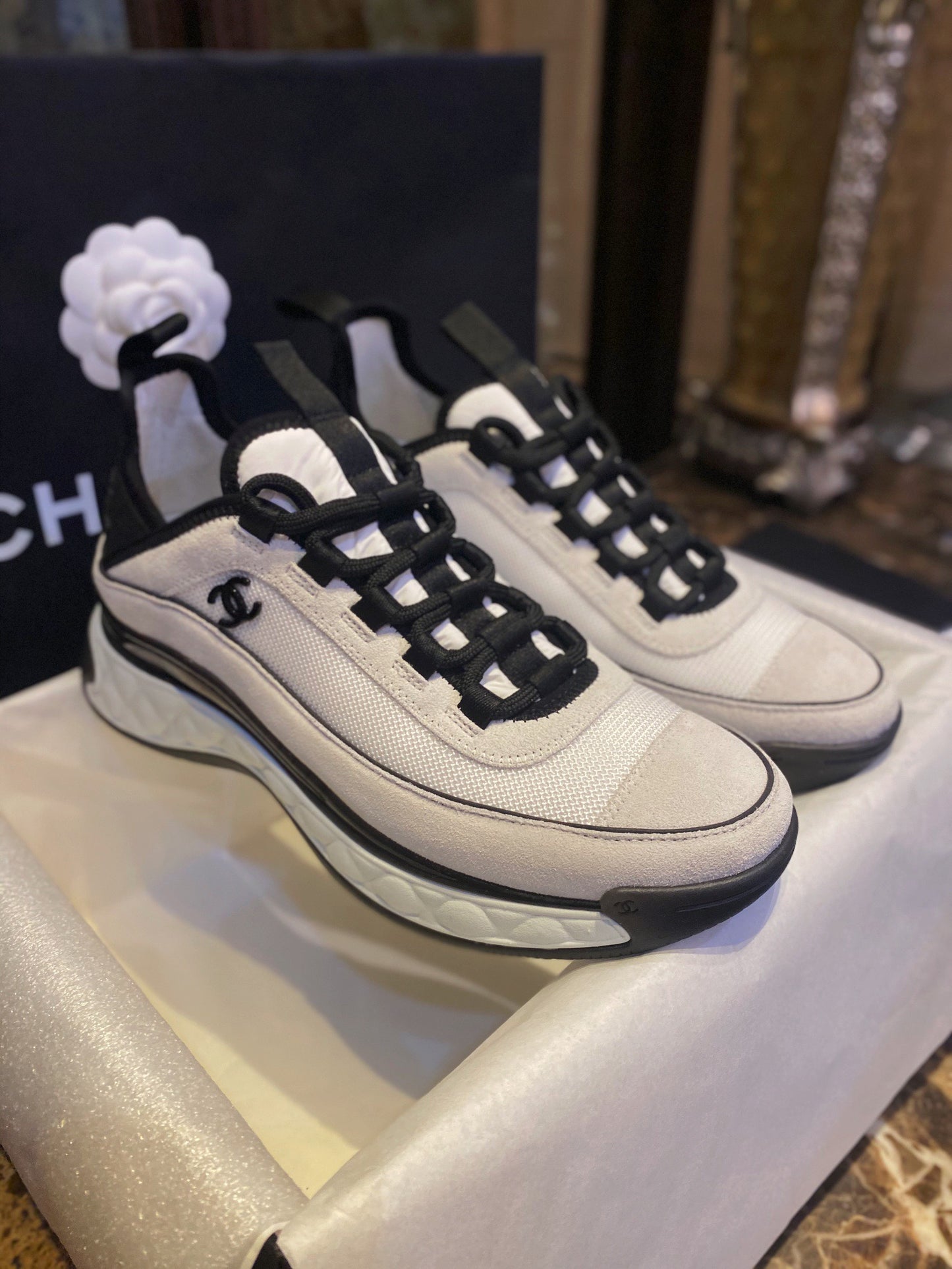 24s sneaker #355