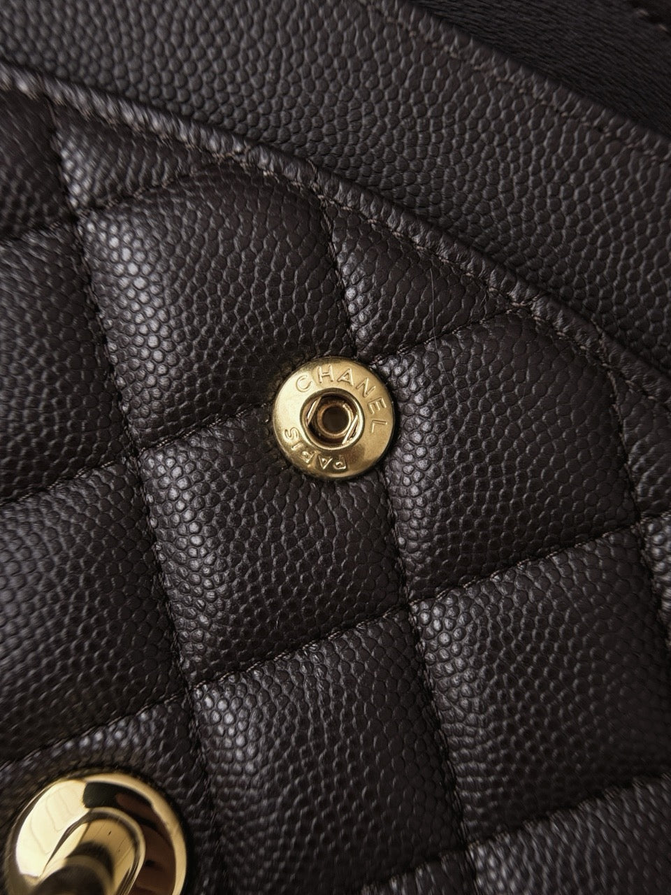 Cf25 Gold Hardware , Caviar # 4213