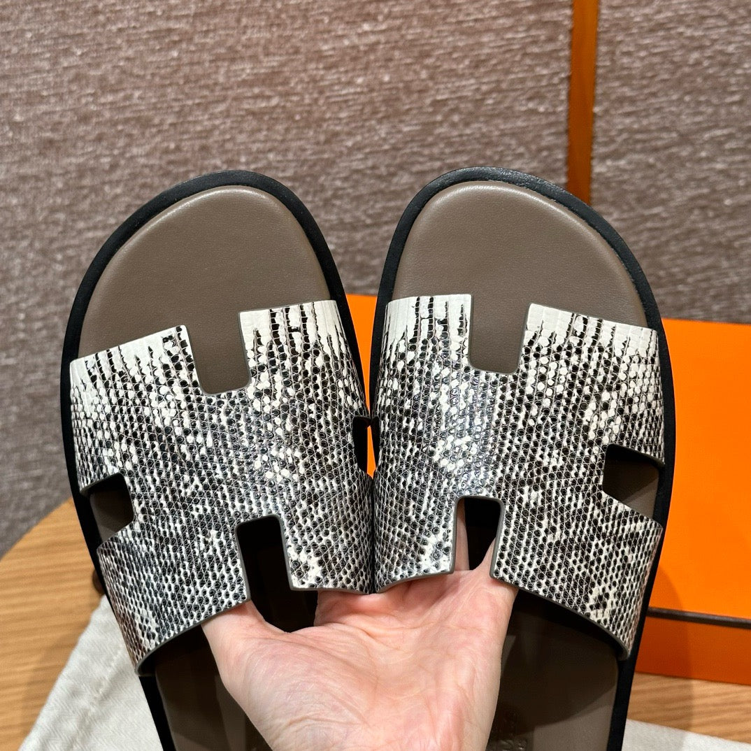 Izmir sandal lizard # 2567