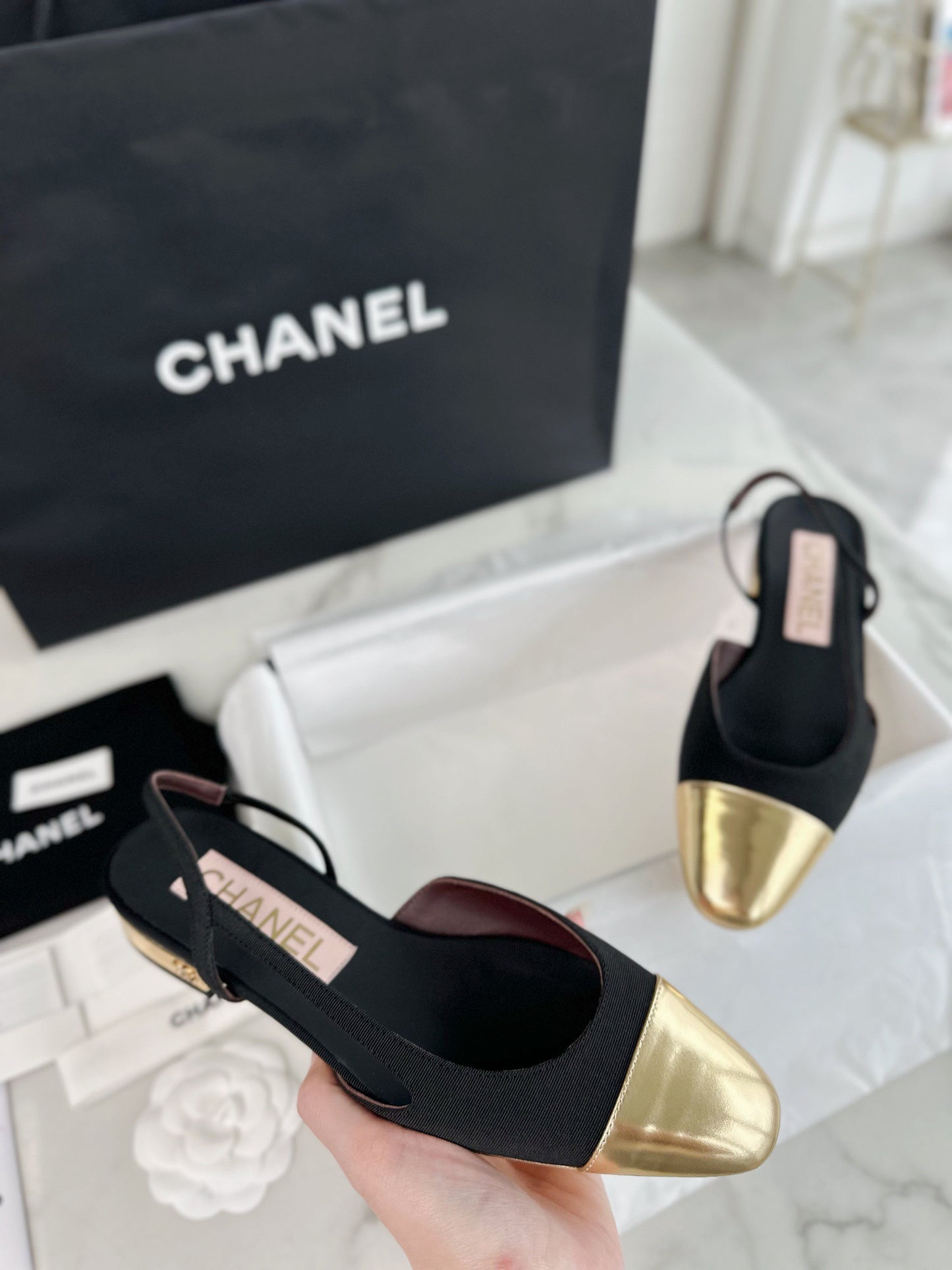 24s slingback #318