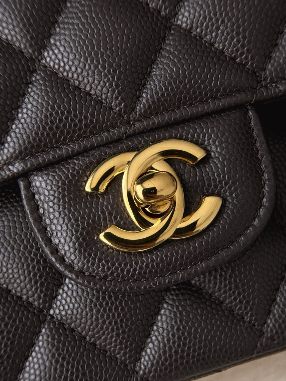 Cf25 Gold Hardware , Caviar # 4213