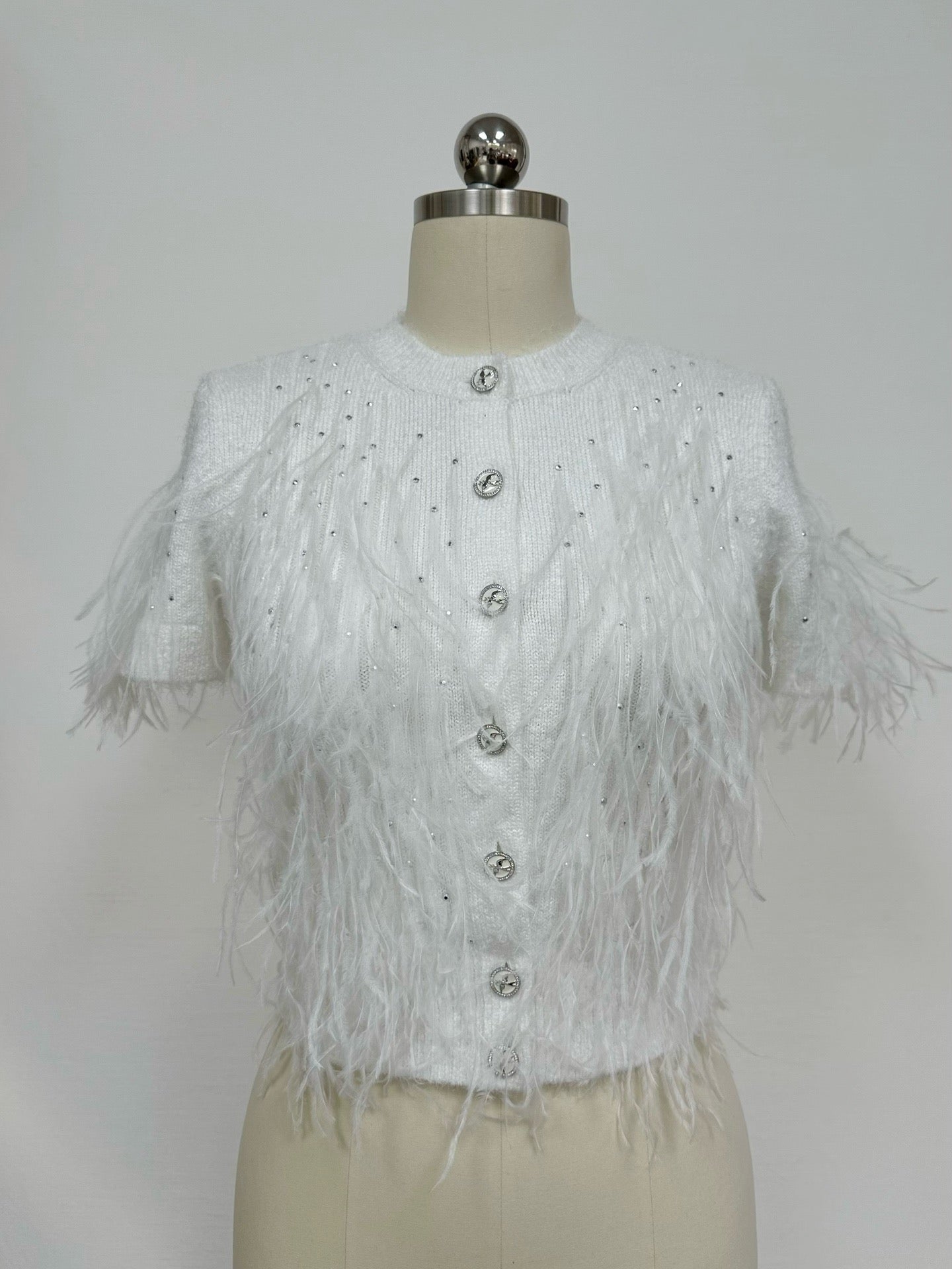 CC25N #2758
