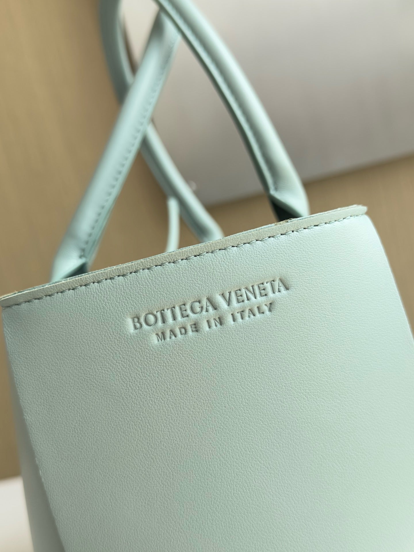 BV Mini Tote #2704
