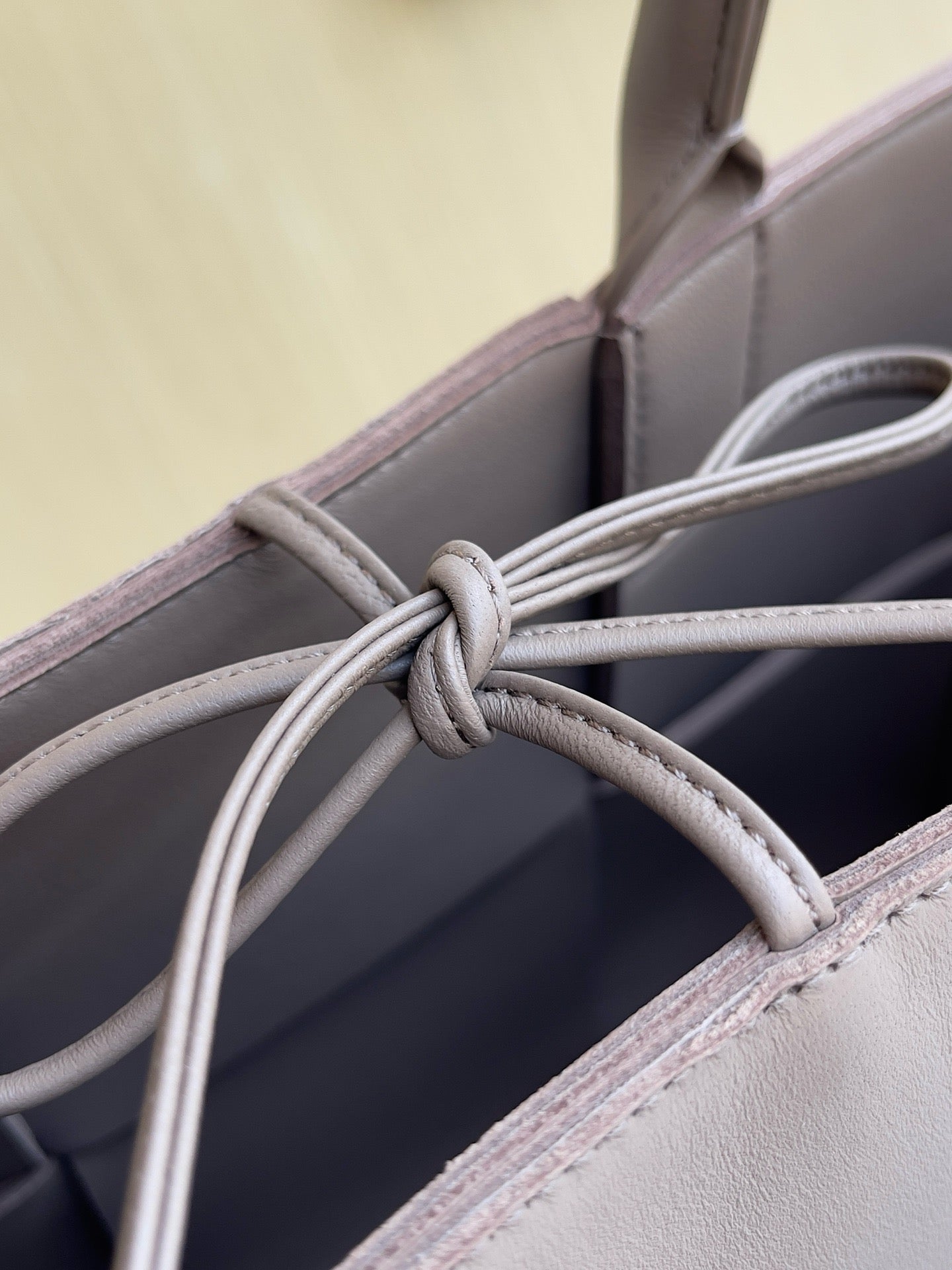 BV Mini Tote #2726