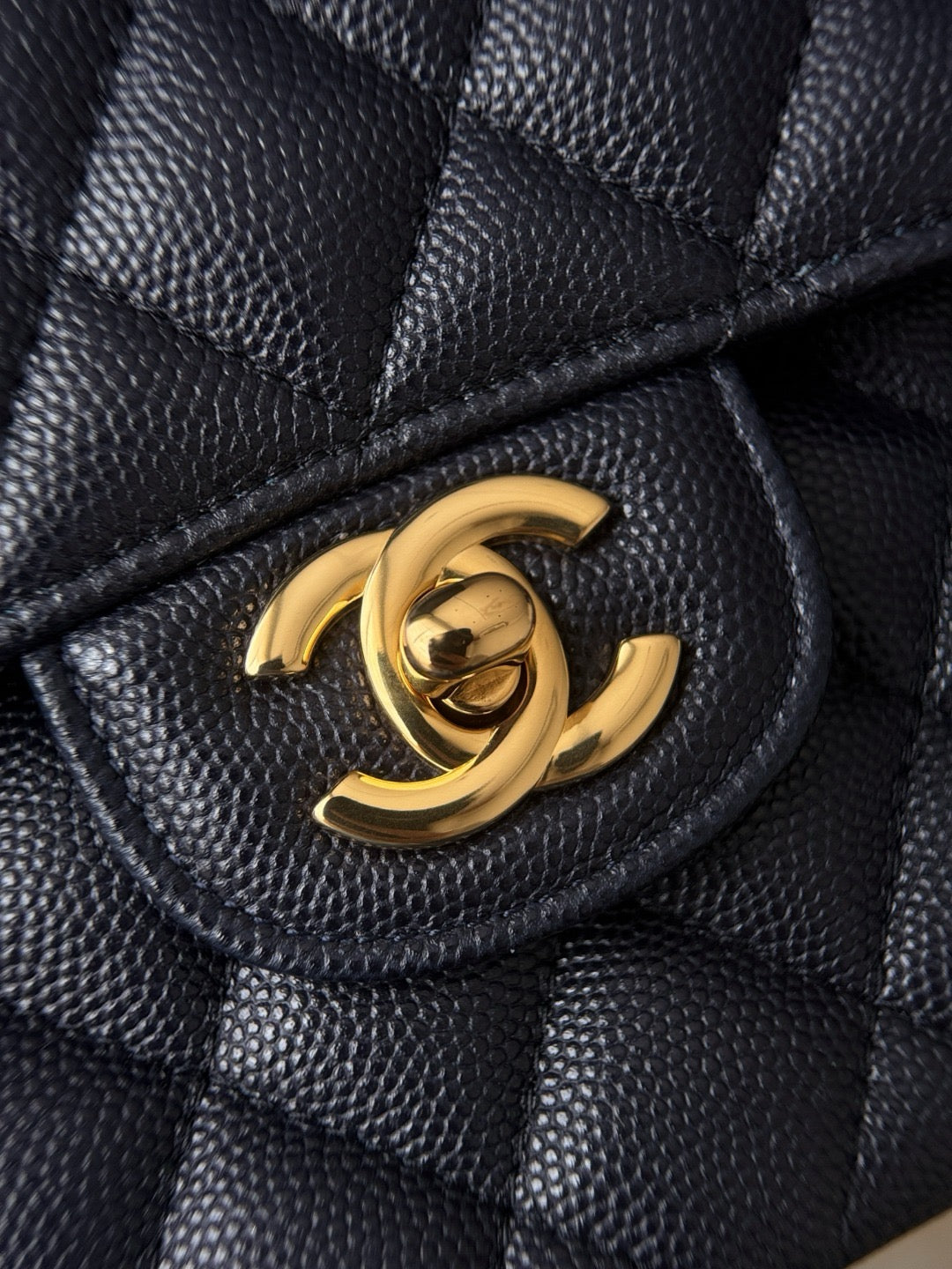 Cf23 Gold Hardware, Caviar # 4231