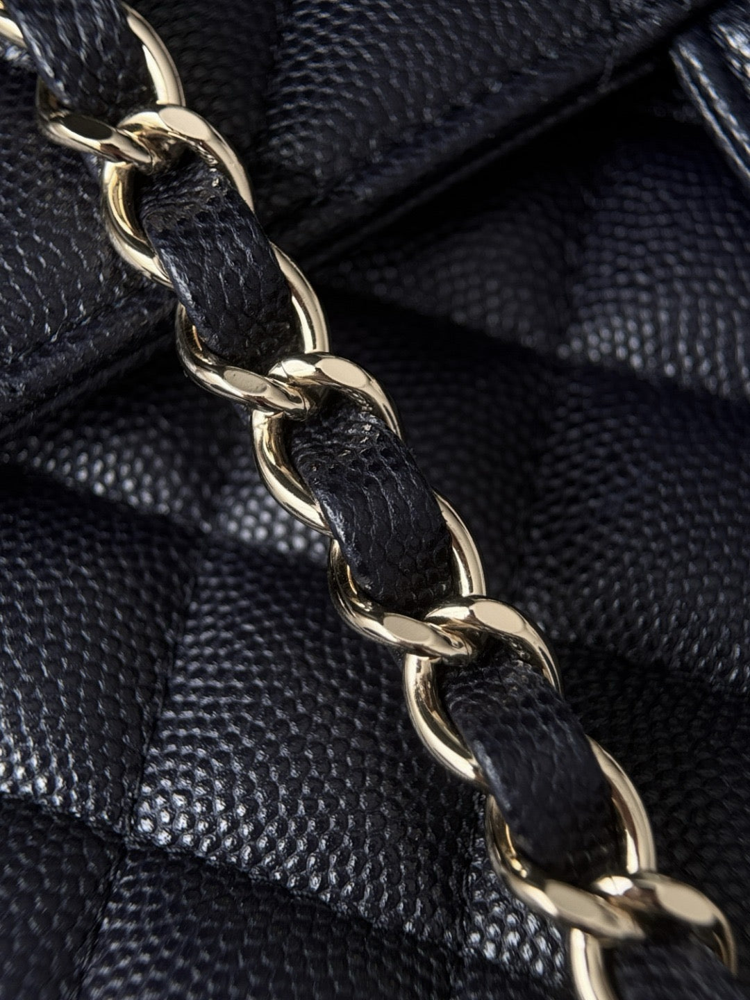 Cf23 Champagne Gold , Caviar # 4229