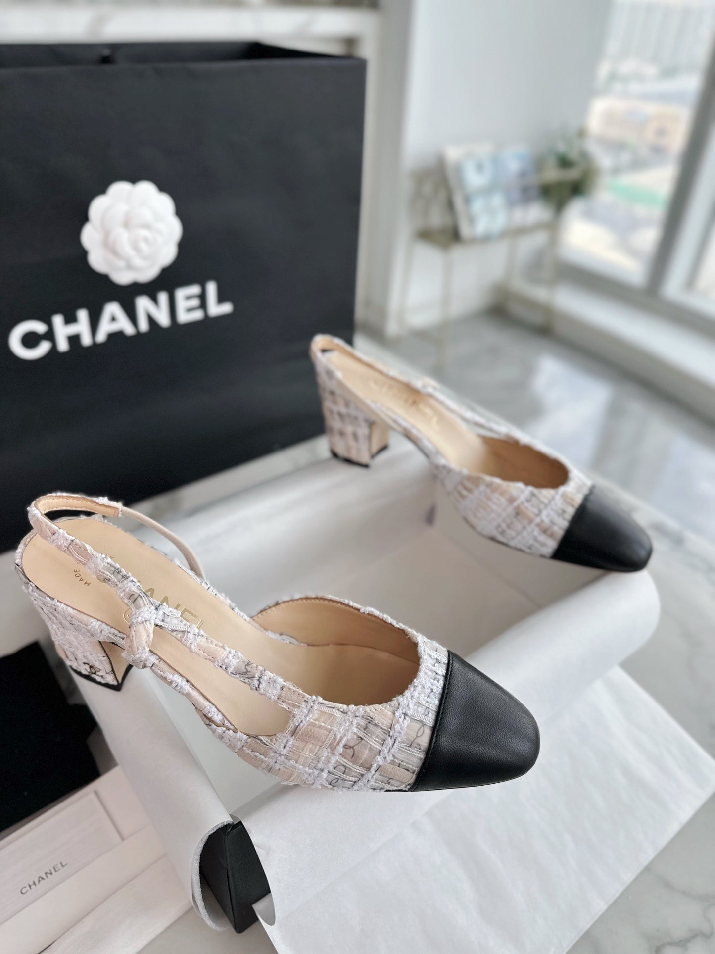 24s slingback #296