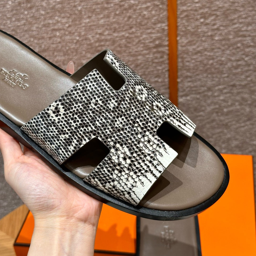 Izmir sandal lizard # 2567