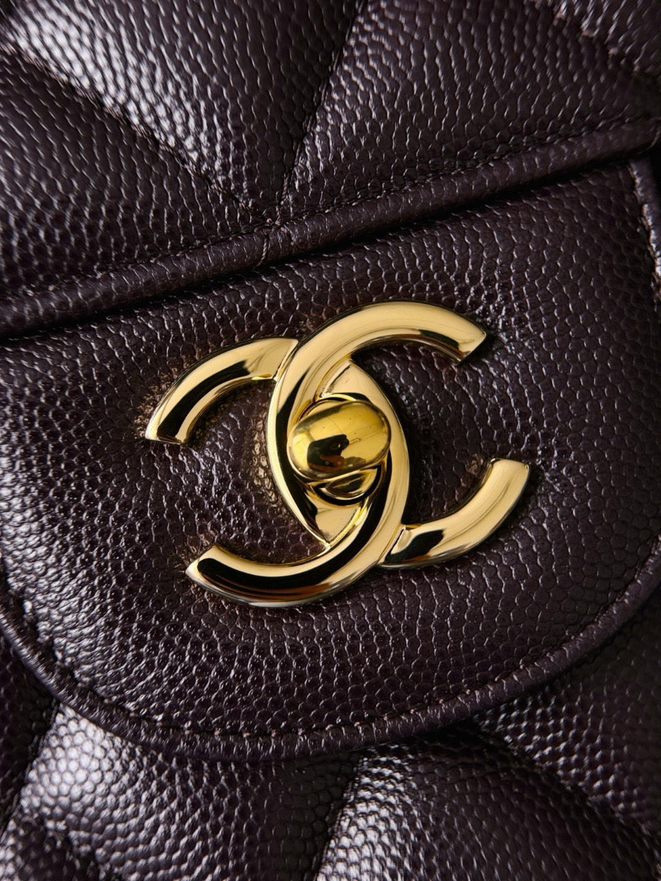 cf30 30 CM  Caviar #4189