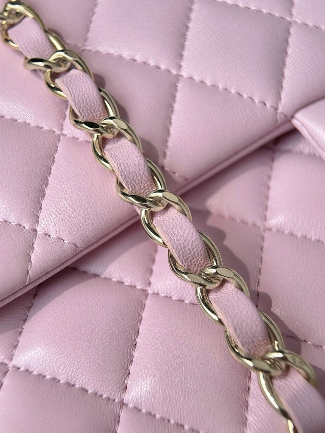 Cf25 Champagne Gold #3695