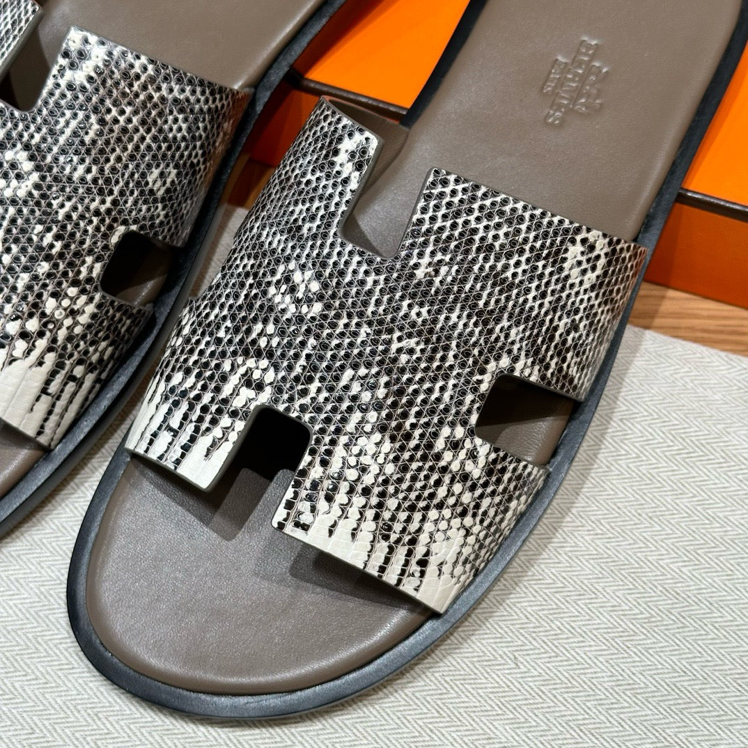 Izmir sandal lizard # 2567