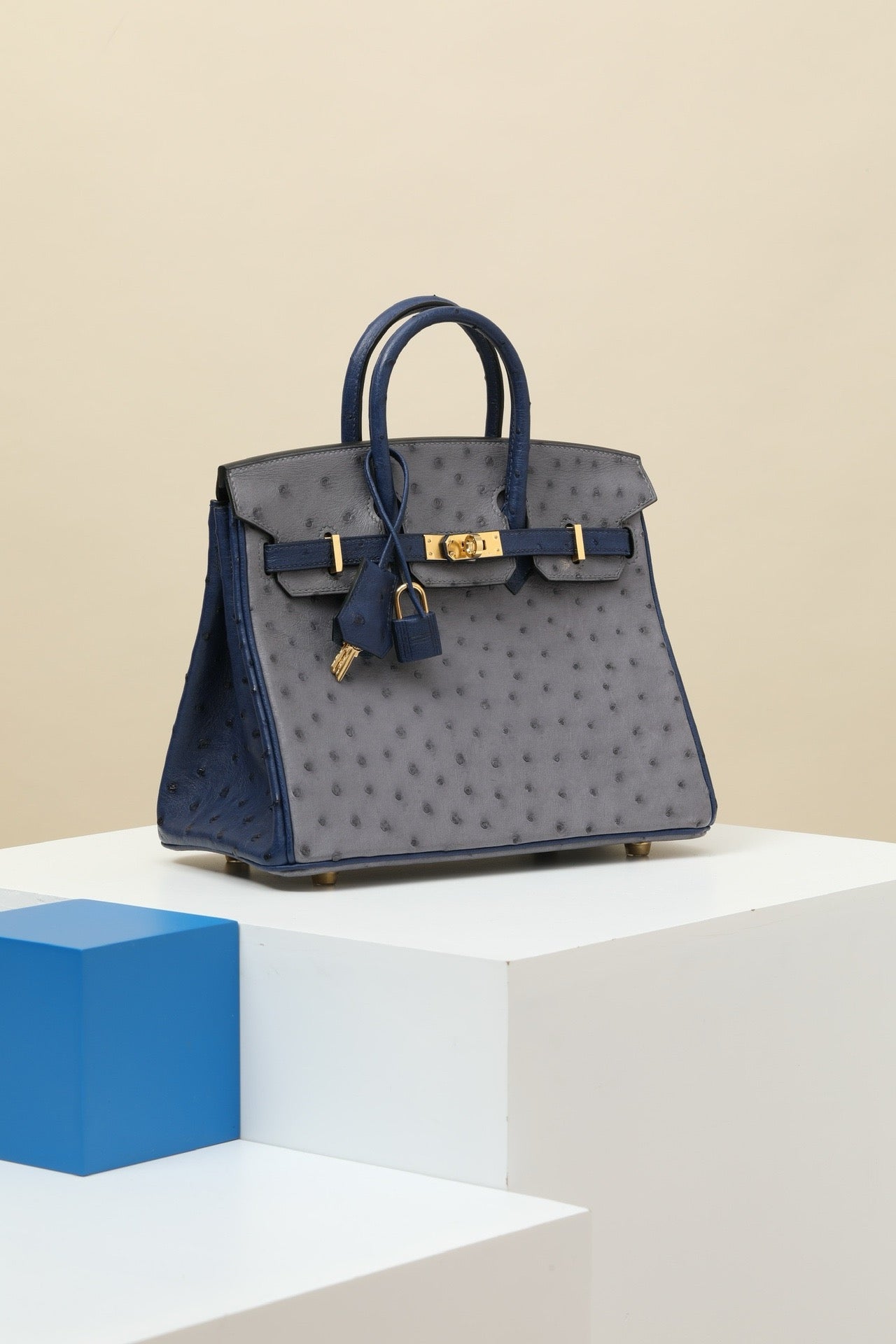 BK25 Onyx Gray/Iris Blue # 3894