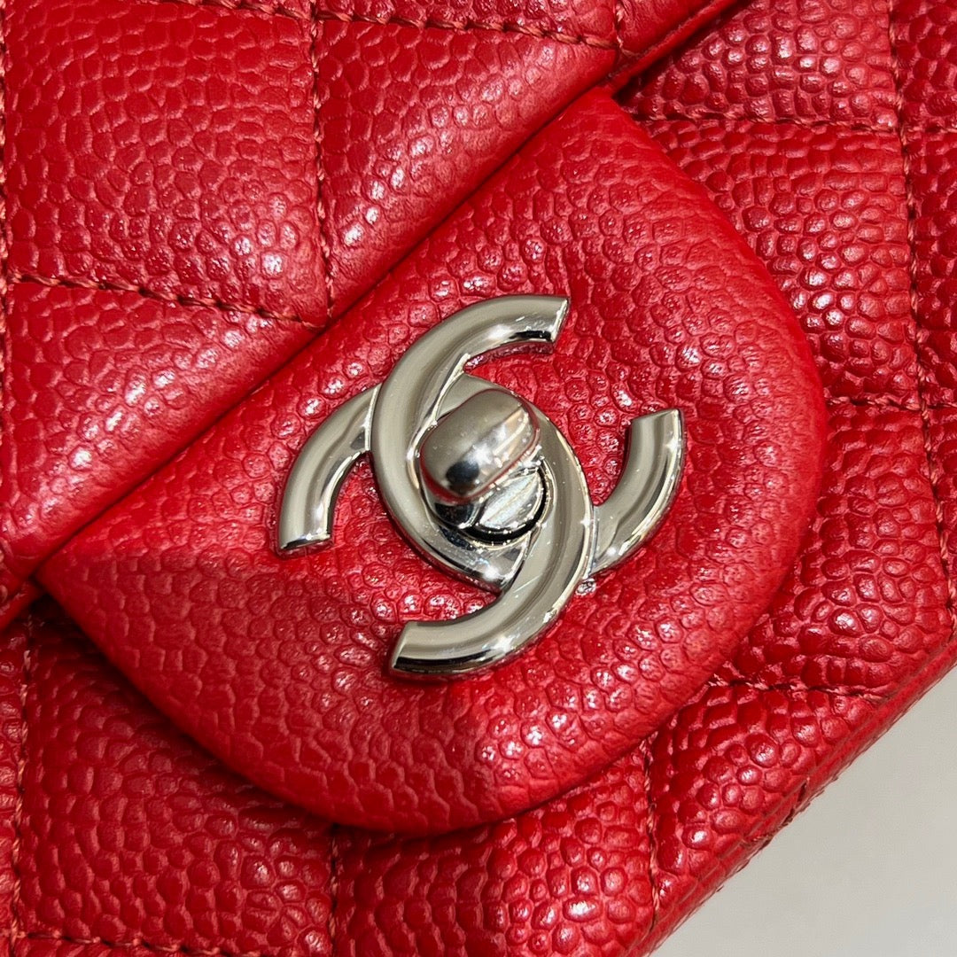 CF 17 Bag #786