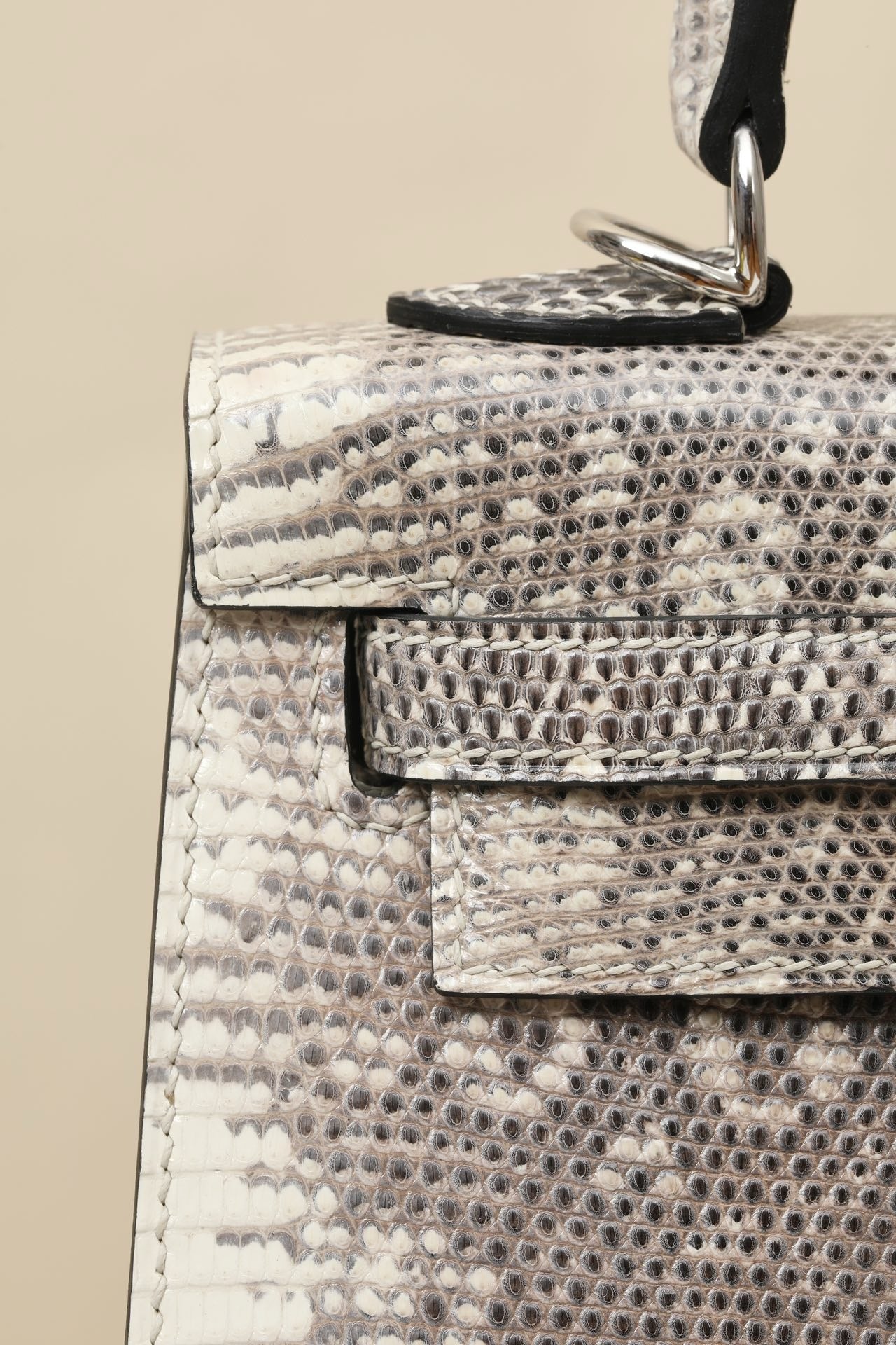 KL25 Natural Lizard #3716