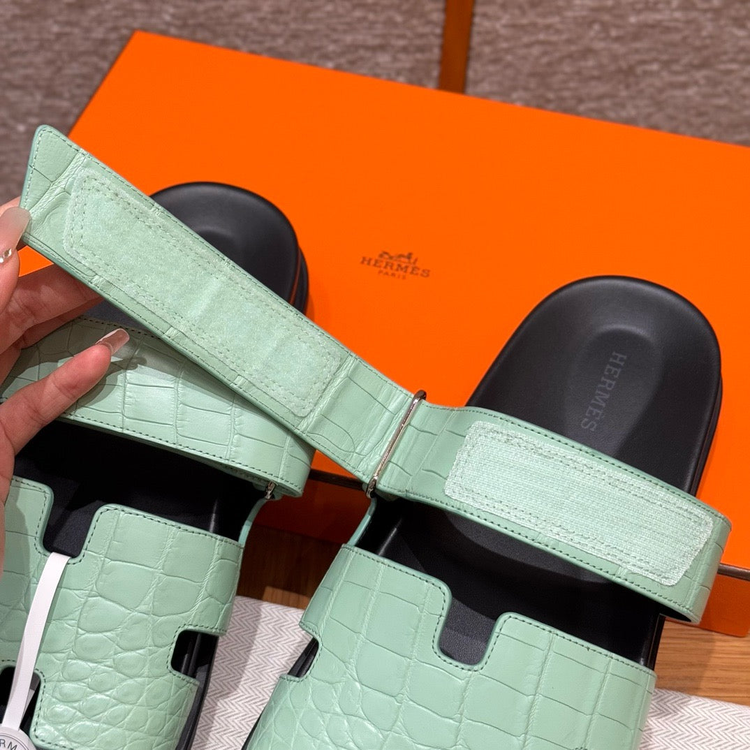 sandal alligator #2576