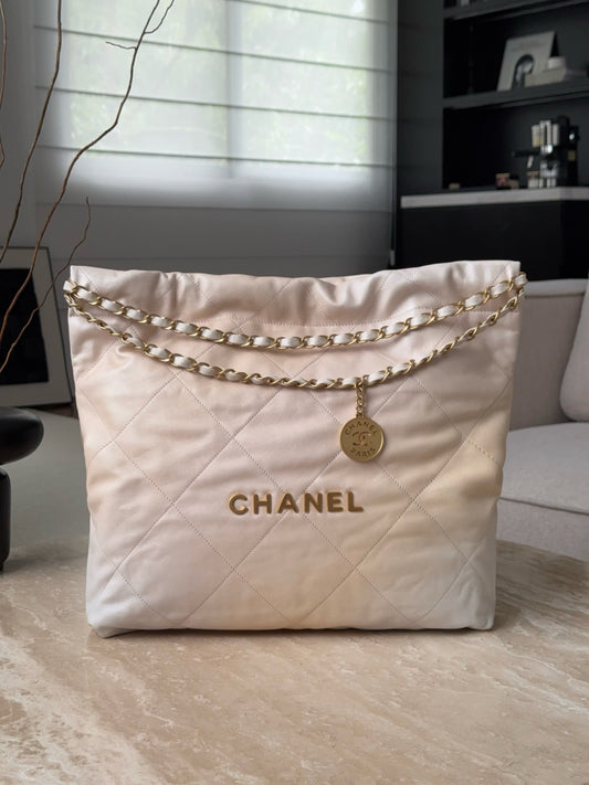 22 Bag # 2817