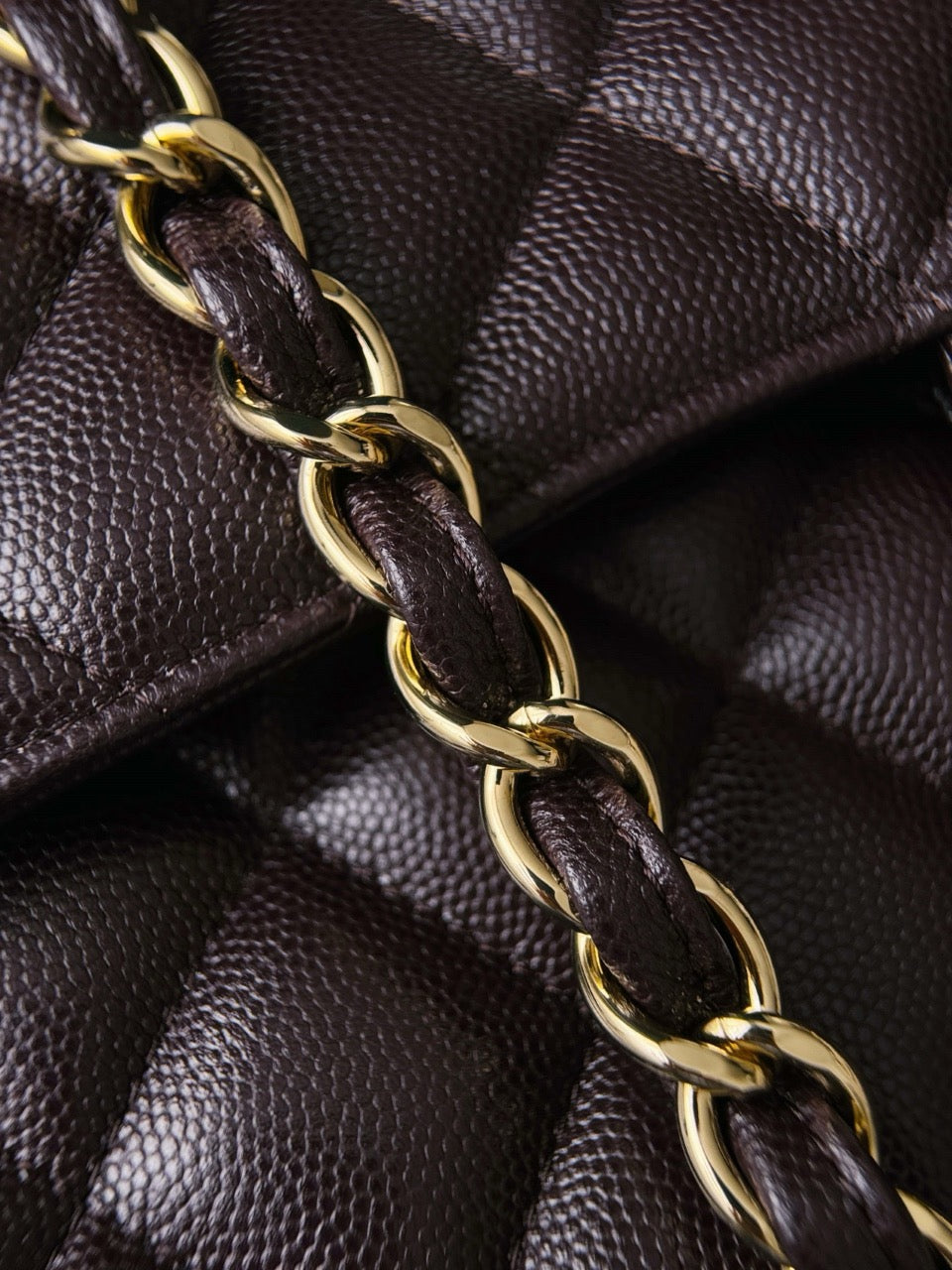 cf30 30 CM  Caviar #4189