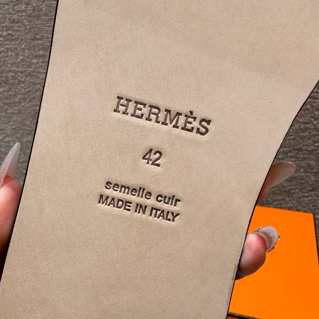 Izmir sandal lizard # 2567