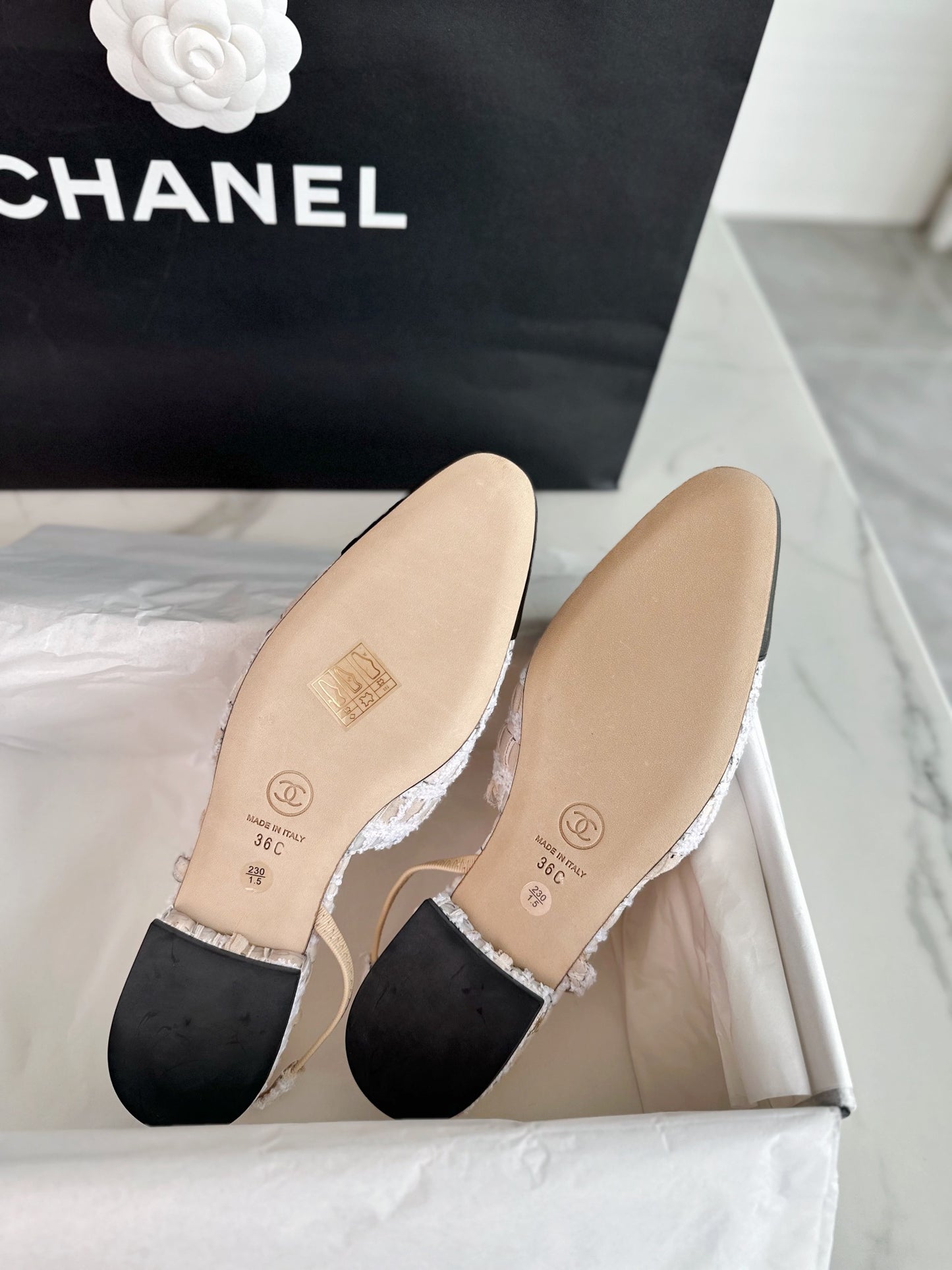 24s slingback #295