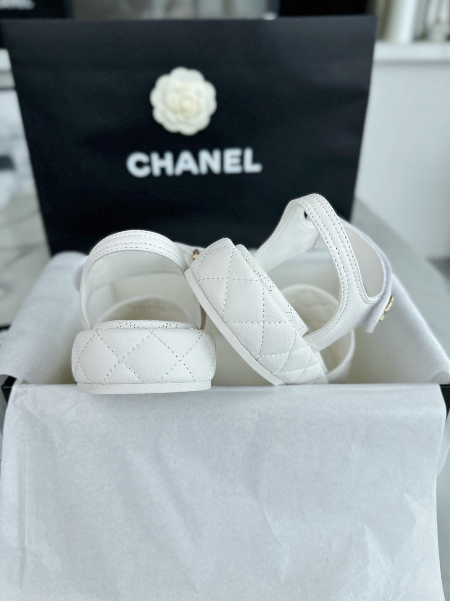 24s Sandal #367