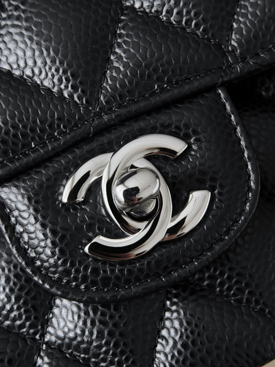 Cf23 Silver Hardware, Caviar # 4231