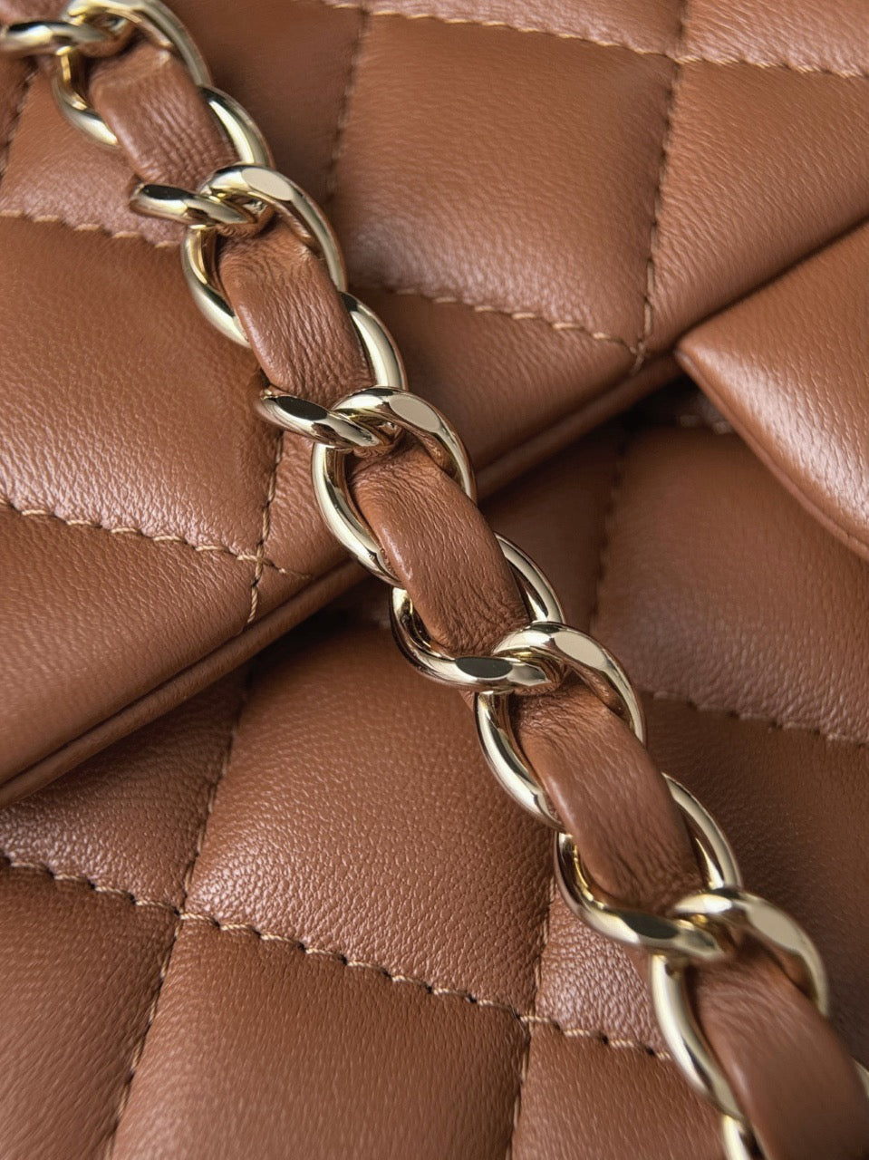 Cf20 Champagne Gold Hardware  #4666